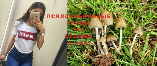 прущая мука Кодинск