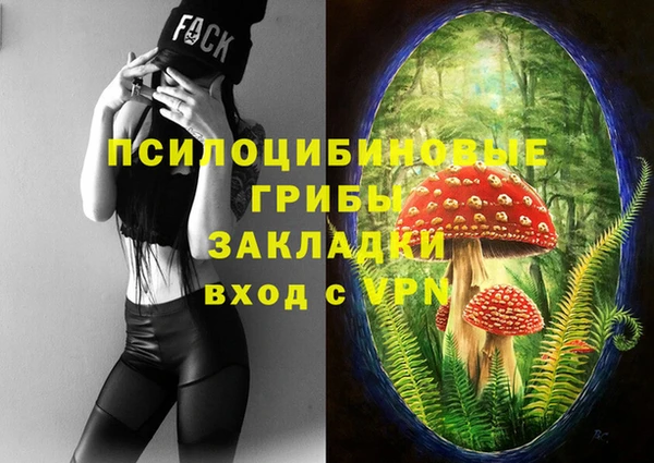 первитин Козельск