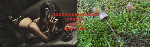 хмурый Богородск