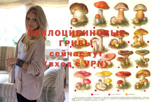 трава Богданович