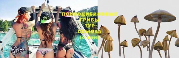 первитин Козельск