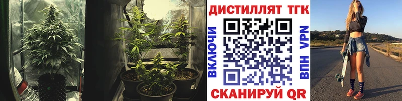 где купить наркотик  Бологое  ТГК THC oil 
